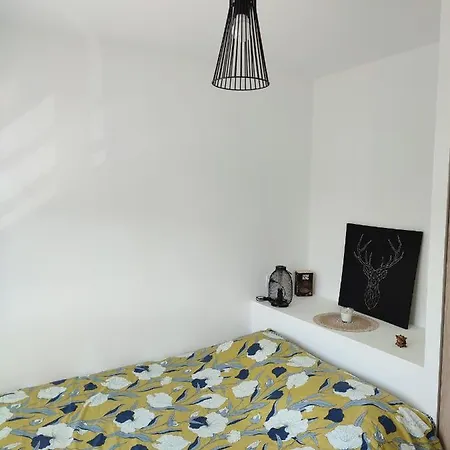 Apartment T1 Bis Dans Un Quartier Calme