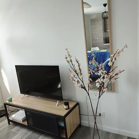 Apartment T1 Bis Dans Un Quartier Calme Brest
